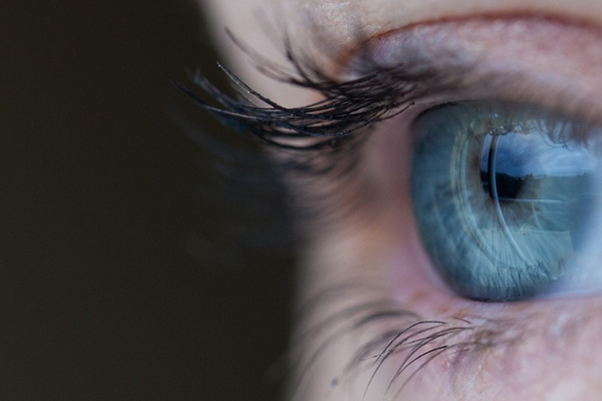 Welche Mascara sorgt für den perfekten Wimpernaufschlag? Welche Mascara sorgt für den perfekten Wimpernaufschlag?