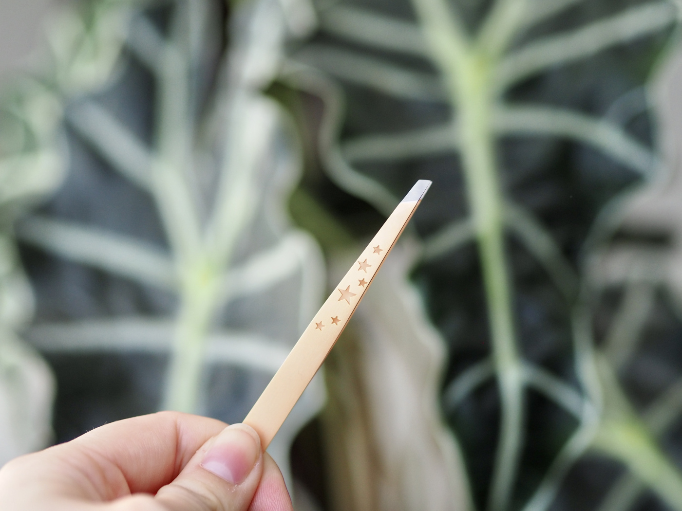 Jasmin vom Schweizer Beautyblog JASMINSBEAUTYPOWER hat mit Rubis für sich die beste Pinzette gefunden